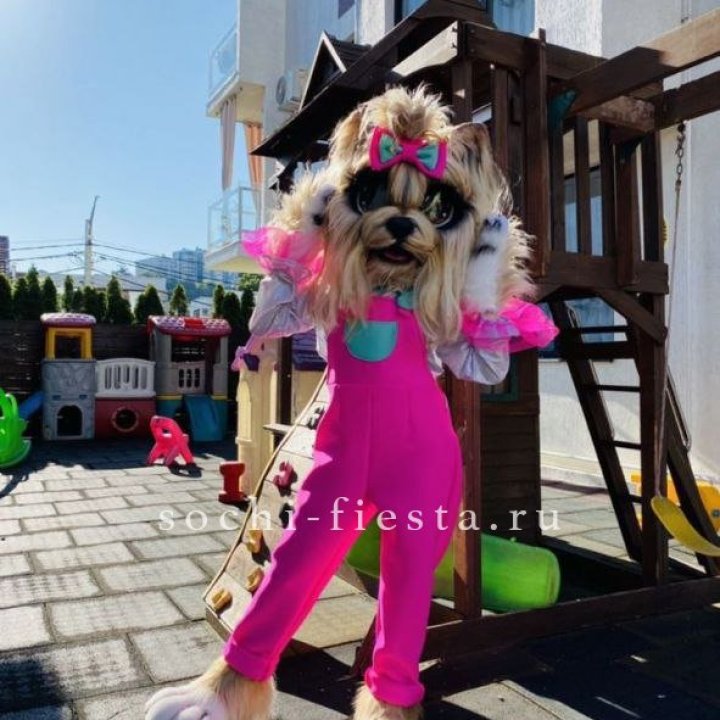 Аниматор Гламурная Собака в Балаково
