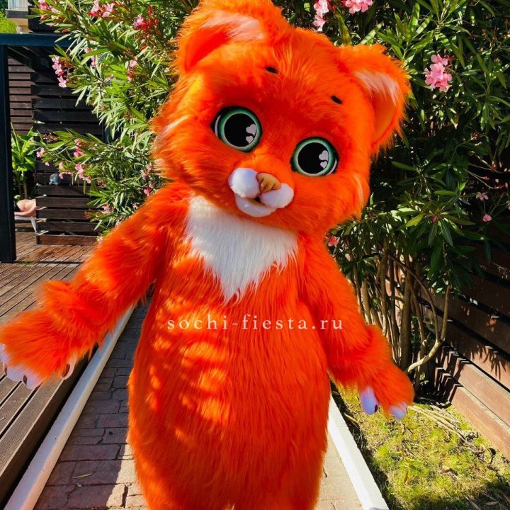 Аниматор Котик в Балаково