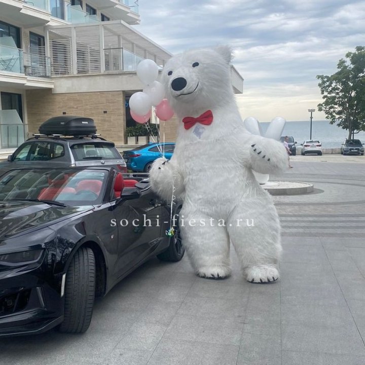 Аниматор Белый Медведь в Балаково