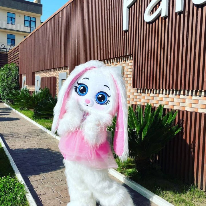 Аниматор Зайка в Балаково