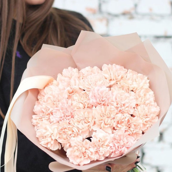 Диантусы №2 в Балаково