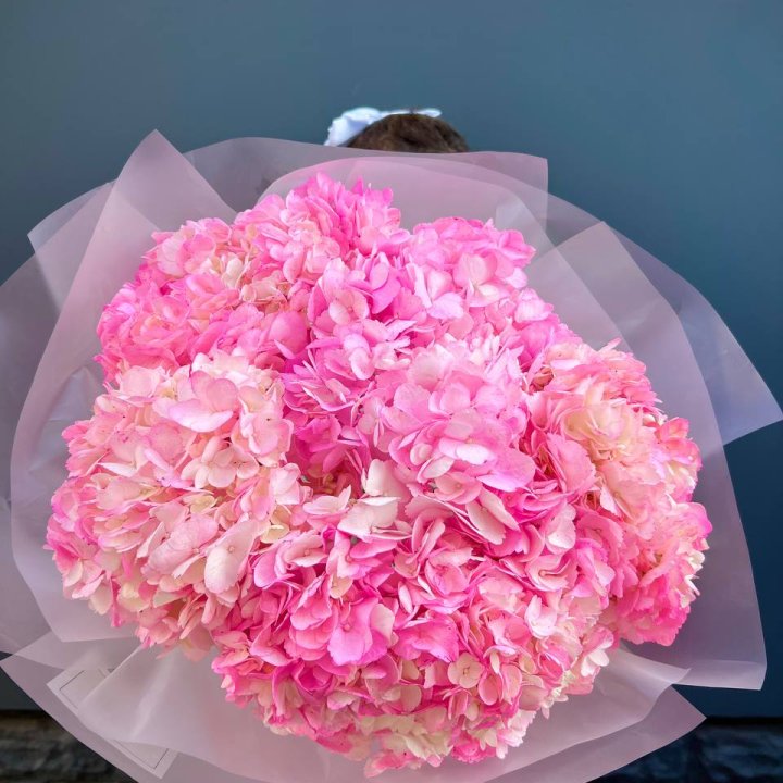 9 ярко розовых гортензий в Балаково