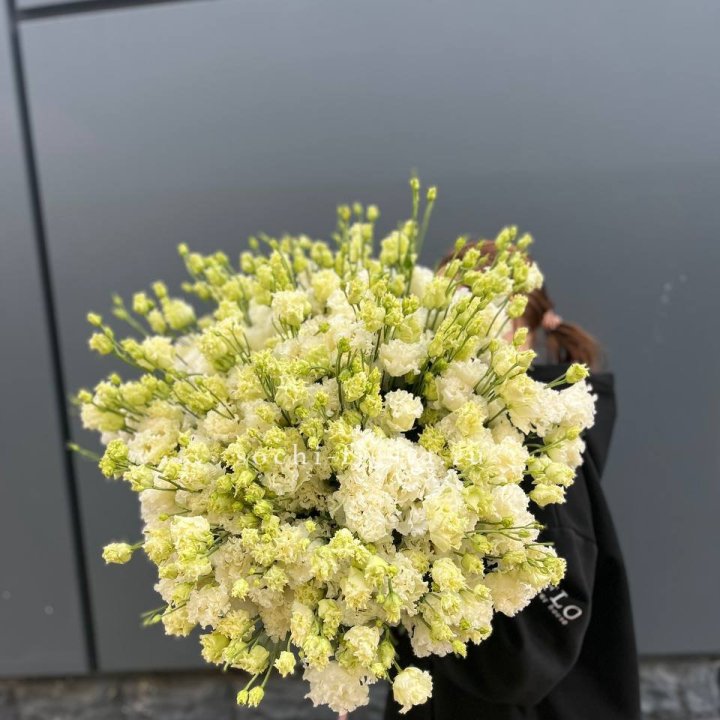 51 белая эустома в Балаково