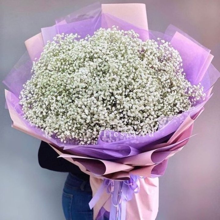 Облако белых гипсофил в Балаково