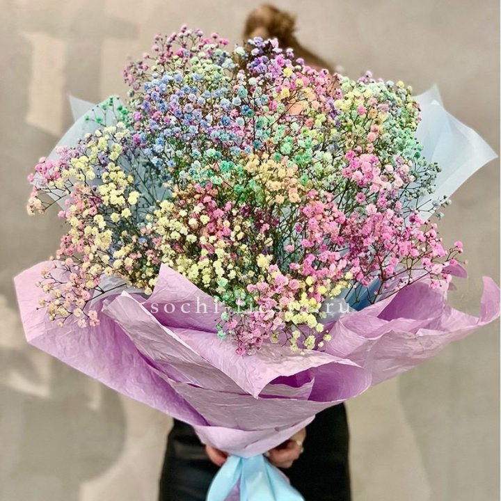 Радужные гипсофилы №2 в Балаково