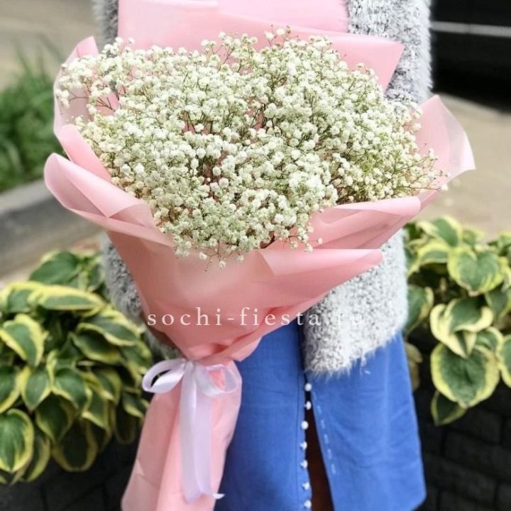 Белоснежные гипсофилы в Балаково