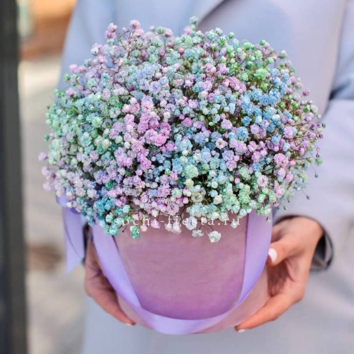 Гипсофилы в шляпной коробке "Кандилайт" в Балаково