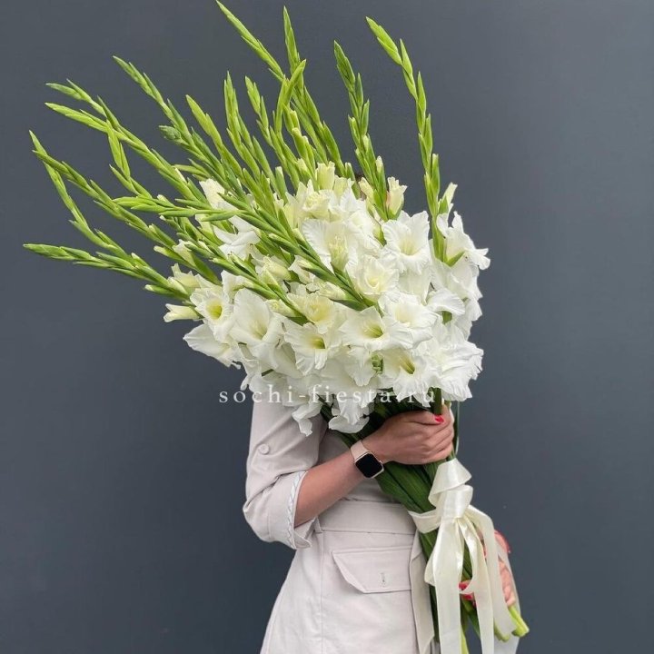 19 белых гладиолусов под ленту в Балаково