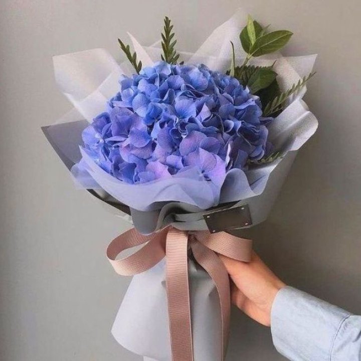 Гортензия голубая в Балаково