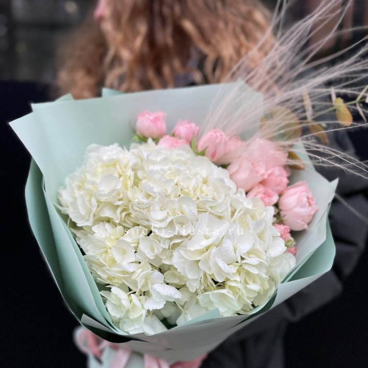 Гортензия "Жасмин" в Балаково