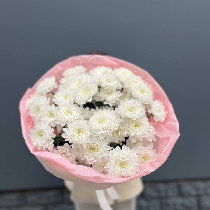  5 хризантем  в Балаково