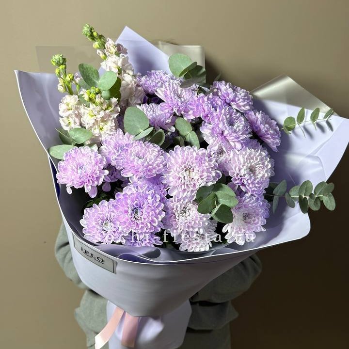 Дуо хризантема и маттиола в Балаково