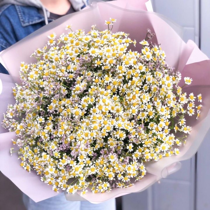 Букет ромашек №1 в Балаково