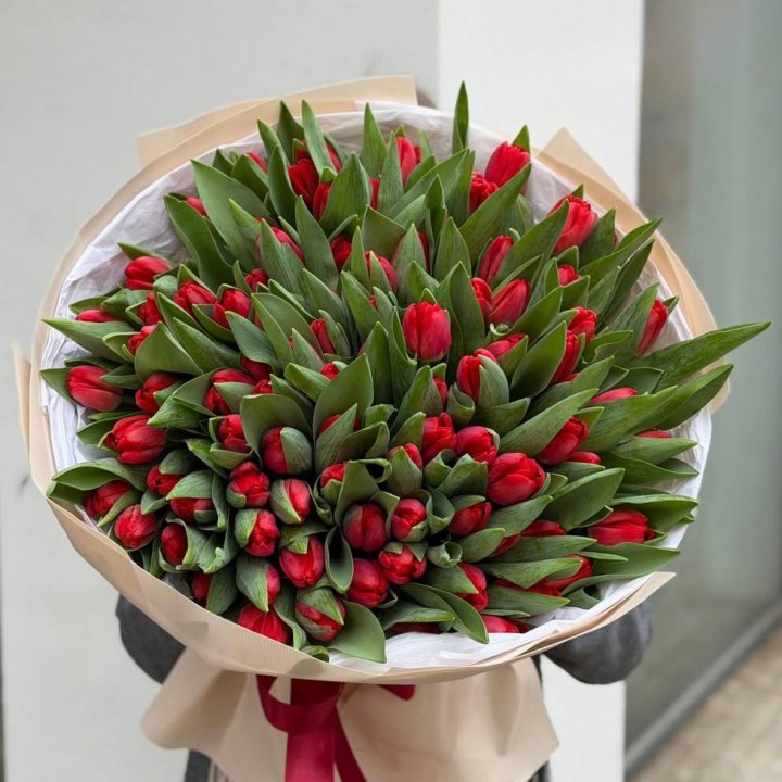 101 красный тюльпан в Балаково