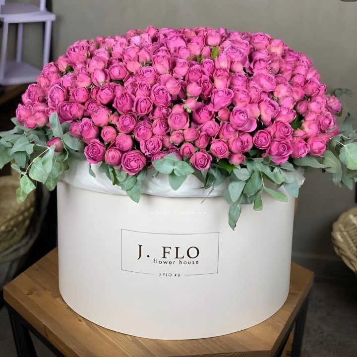 Цилиндр с Мисти Бабблс  в Балаково