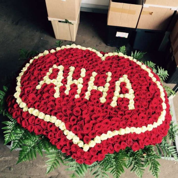 555 роз с именем в Балаково