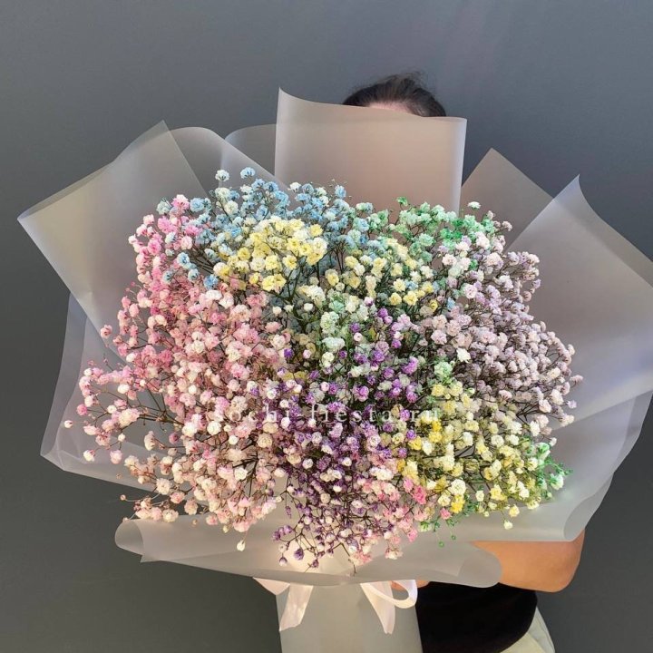 Радужные гипсофилы  в Балаково