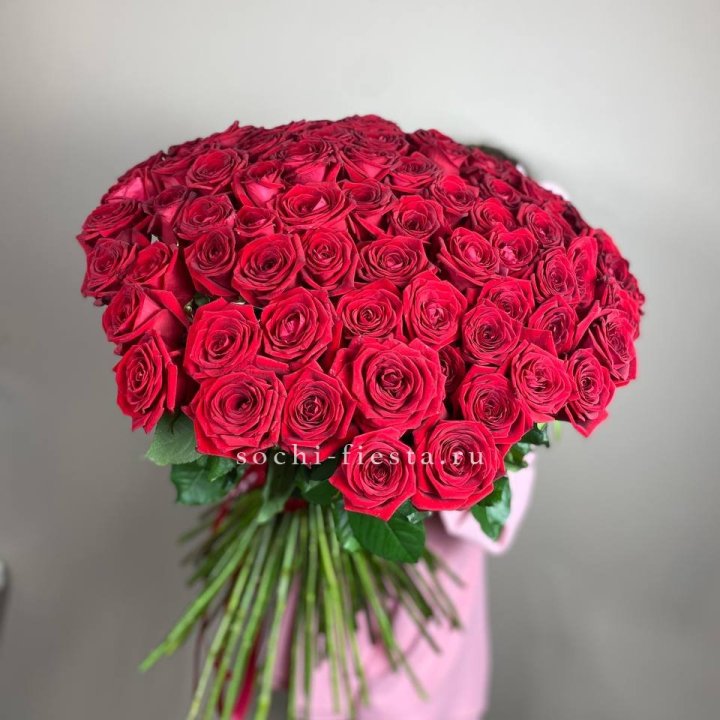 101  голландская роза  в Балаково