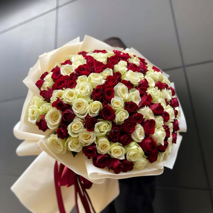 101 высокая импортная роза  в Балаково