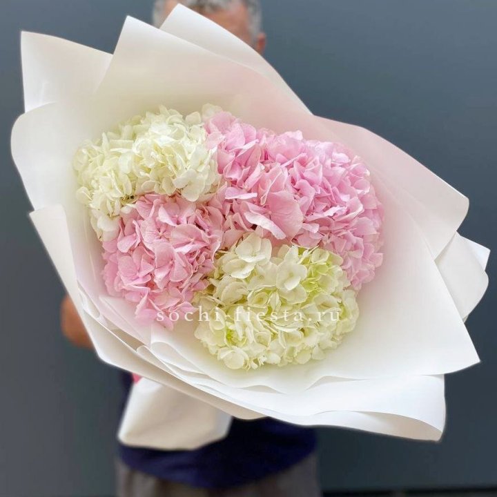 Букет гортензий №5 в Балаково