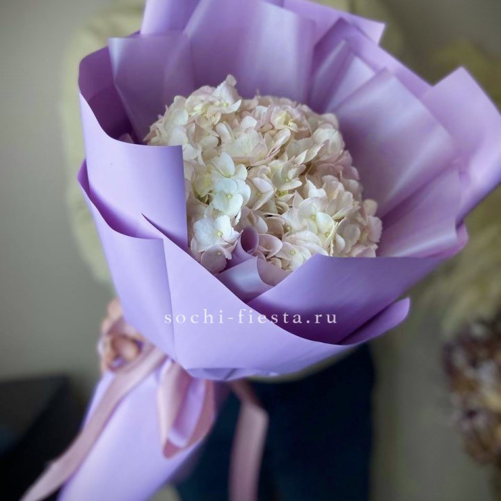 Гортензия розовая в Балаково