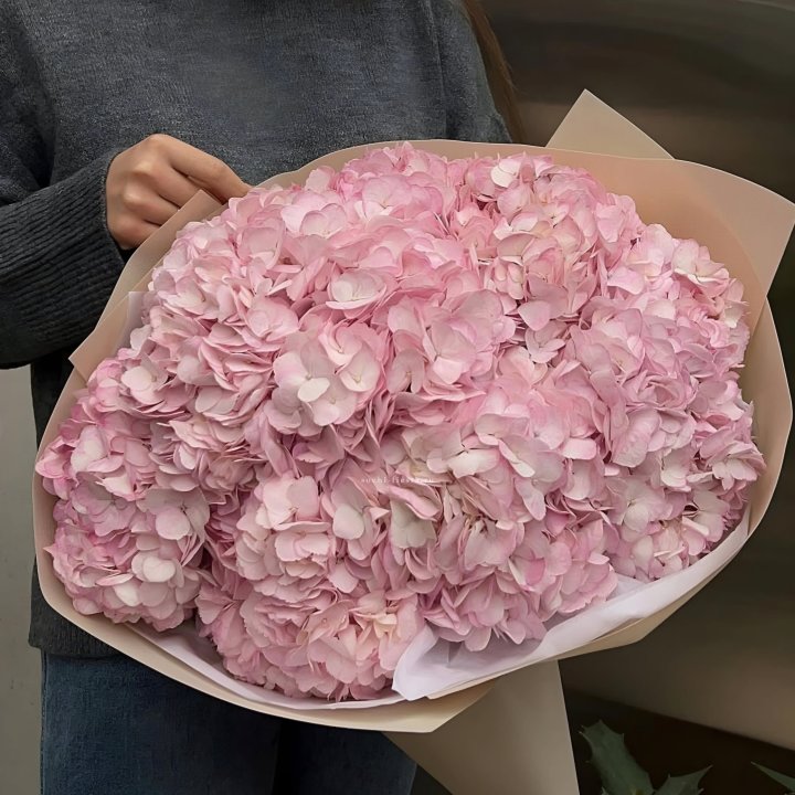 Гортензия  "РОЗЕ" в Балаково