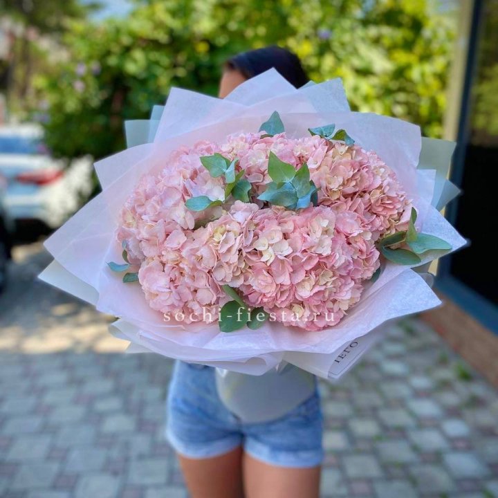 5 розовых гортензий  в Балаково