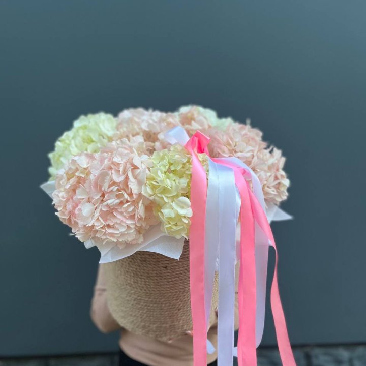 7 гортензий в кашпо в Балаково