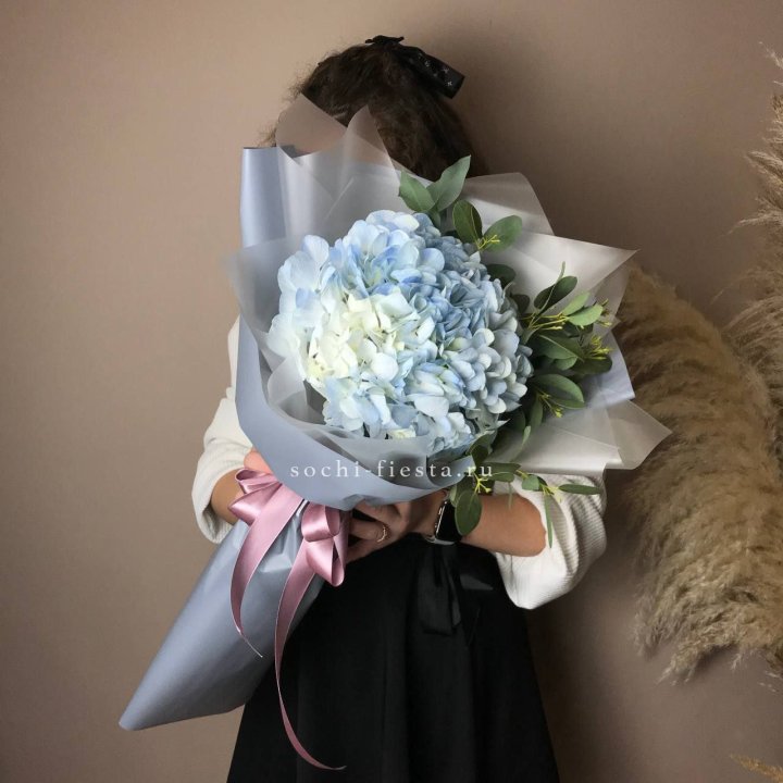 Гортензия Уно в Балаково