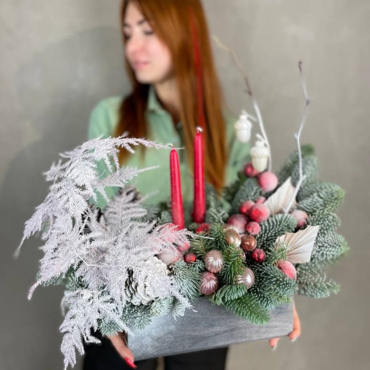 Бокс красный с нобилисом в Балаково