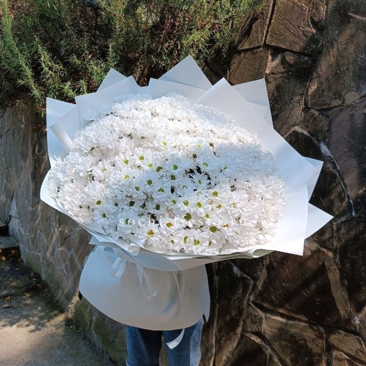 Облако хризантем №2 в Балаково