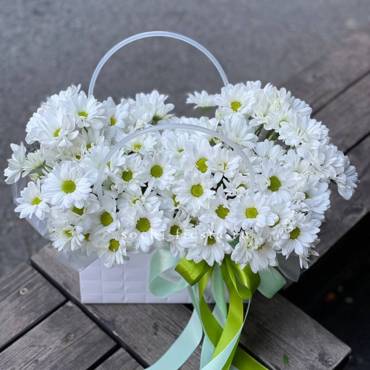 Сумка с хризантемами ромашками в Балаково