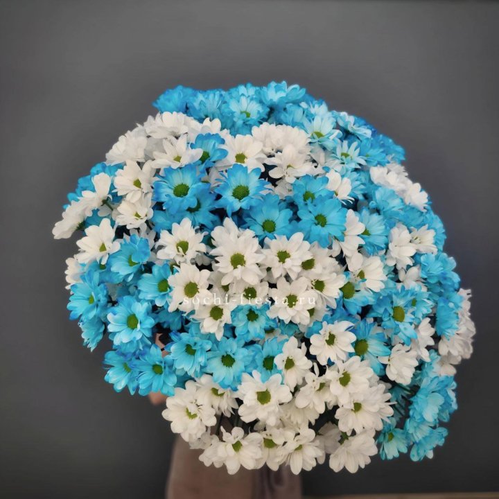  Букет хризантем микс в Балаково