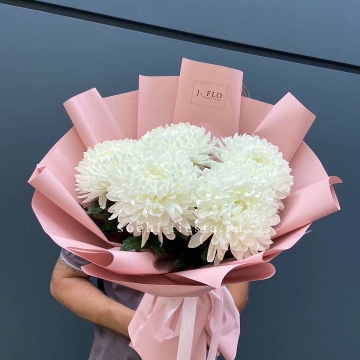 Профитроли №2 в Балаково