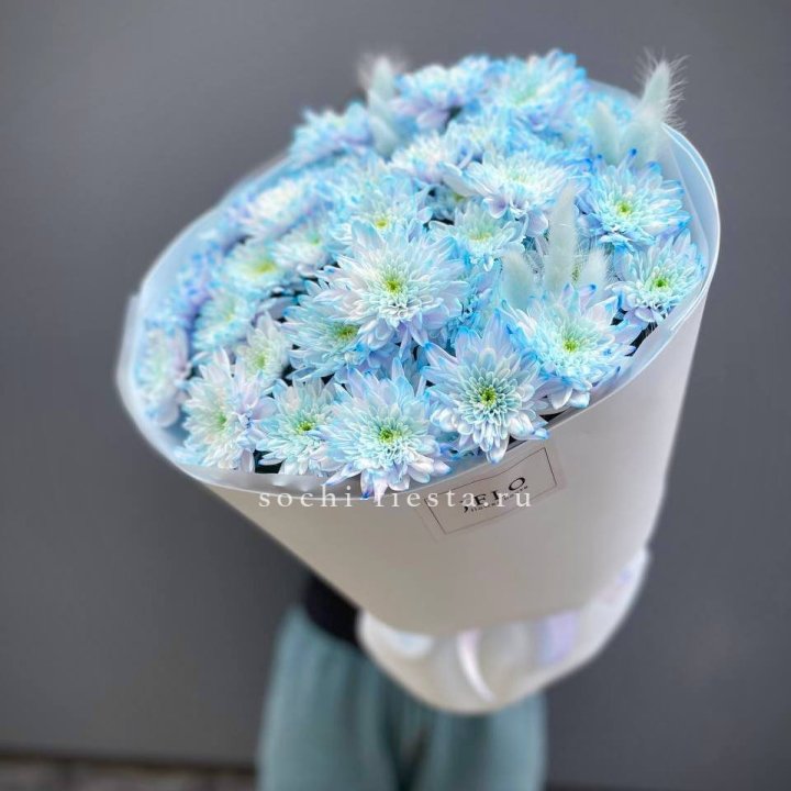  Букет нежно-голубых хризантем  в Балаково