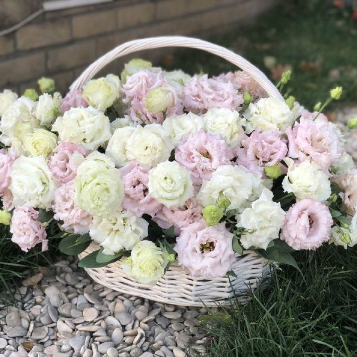 Корзина с эустомой в Балаково