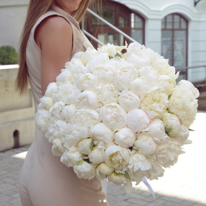 51 белый пион в Балаково