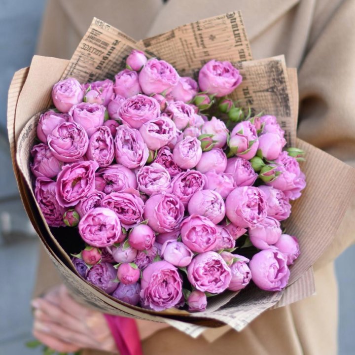 Роза Мисти Баблс в Балаково