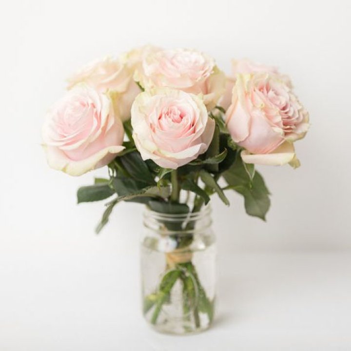 7 кремовых роз в Балаково