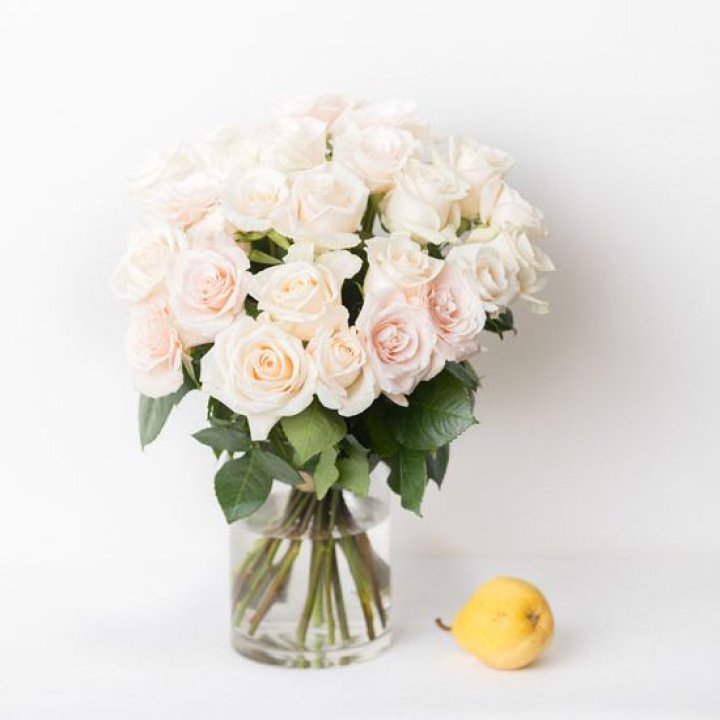 25 кремовых роз в Балаково