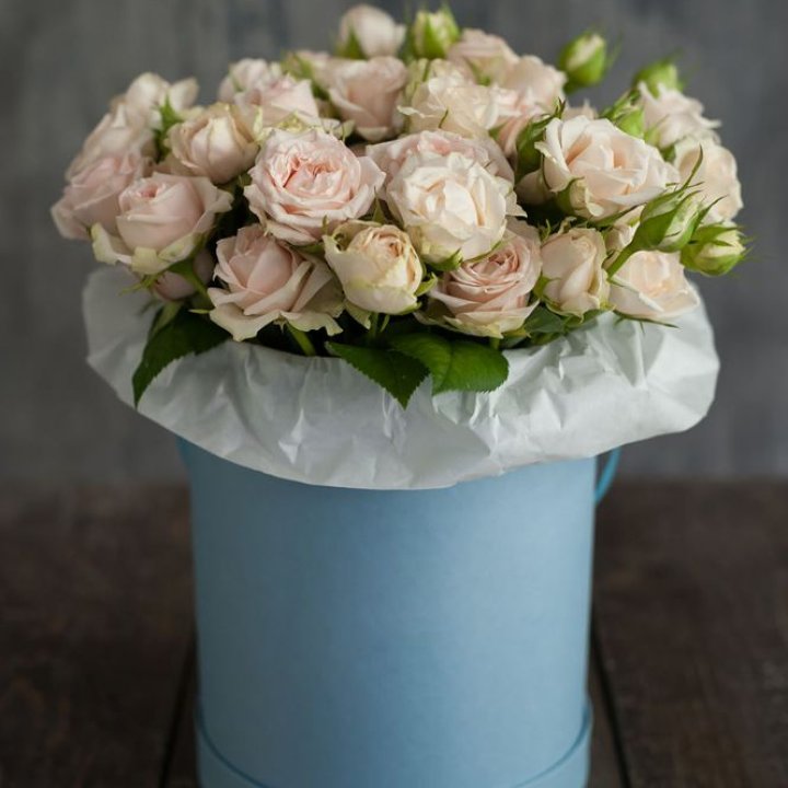 Бокс с бомбастиком в Балаково