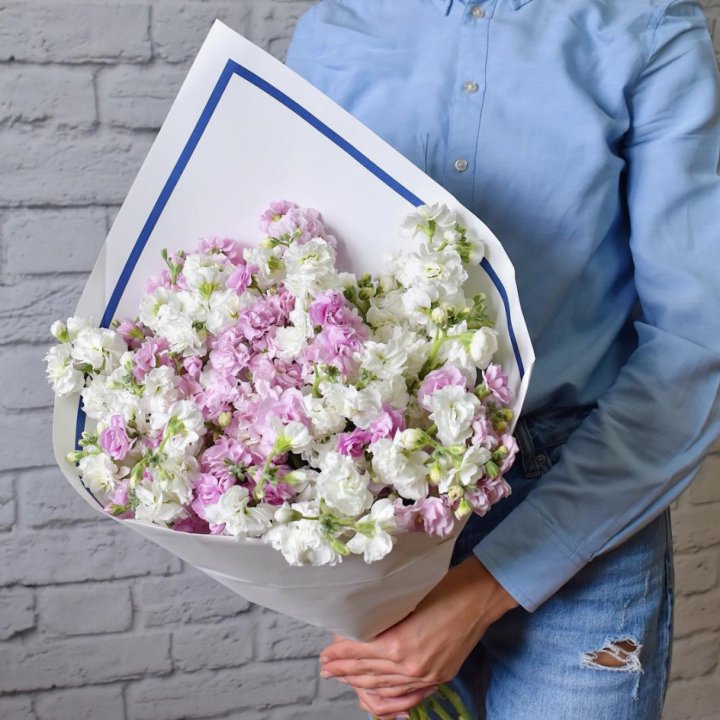 Маттиола в Балаково