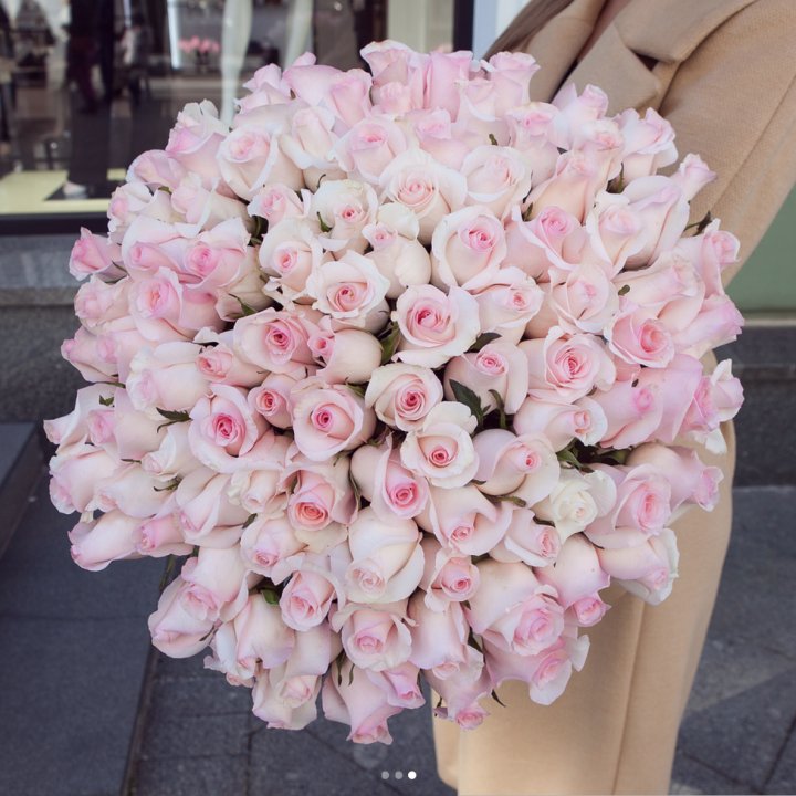 Розы "Пинк бум" в Балаково