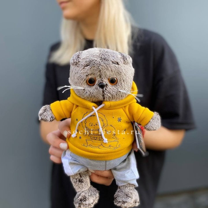 Кот Басик в худи в Балаково