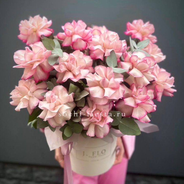 17 Французских  роз Венди в боксе в Балаково