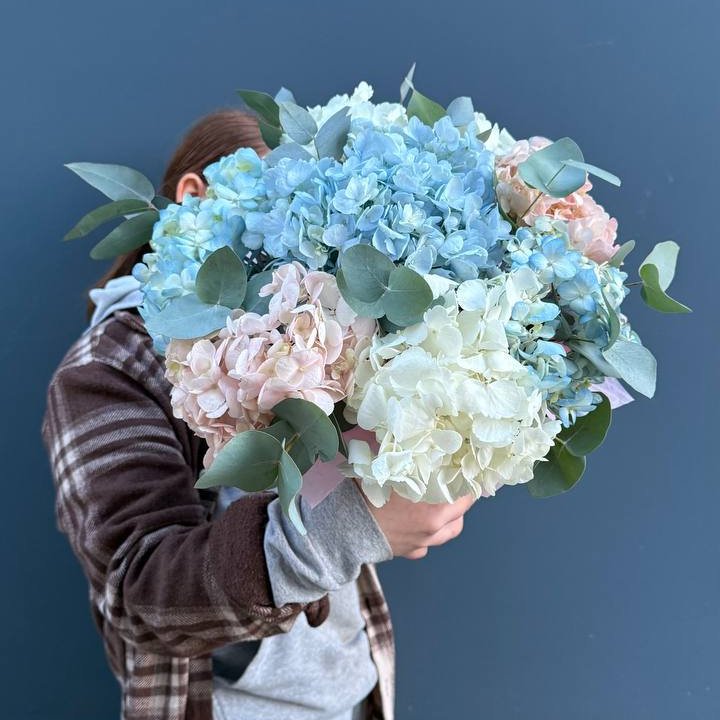 Гортензии в коробочке в Балаково