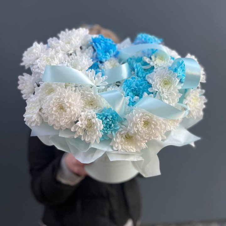 Хризнтемы в боксе в Балаково