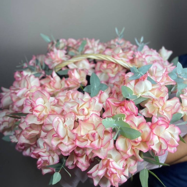 51 джумилия  в корзине   в Балаково