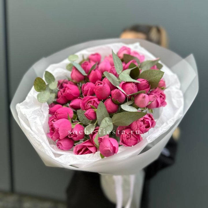 17 Мисти бабблс в Балаково