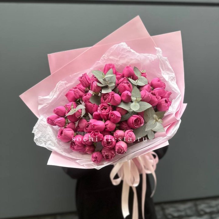 25 Мисти бабблс в Балаково